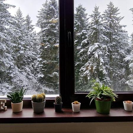 Pine Tree Apartment / Borovets Gardens Luaran gambar