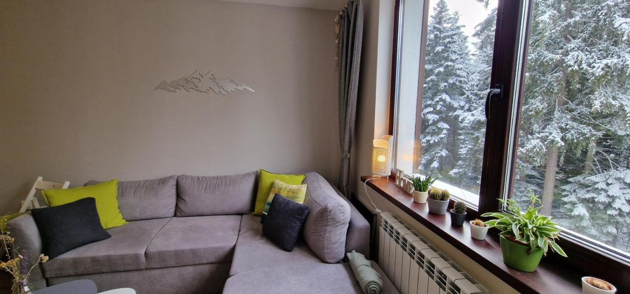 Pine Tree Apartment / Borovets Gardens Luaran gambar